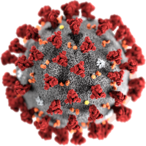 virus rojo